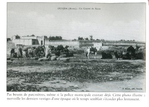 Galerie photo 4 : région de l'Oriental - galerie photos Oujda à admirer
