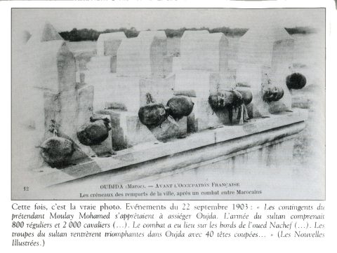 Image 7 : jardin de l'Oriental - galerie photos Oujda à explorer