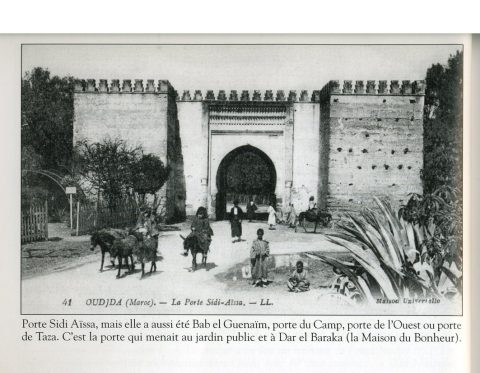 Cliché 12 : paysage de l'Oriental - galerie photos Oujda à télécharger