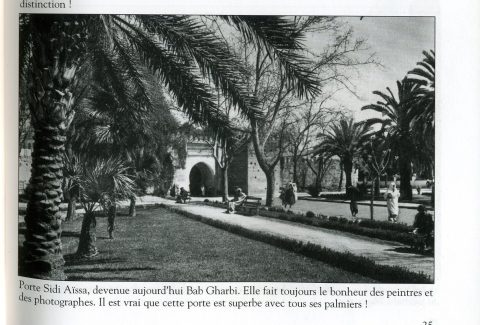 Instantané 14 : carte postale de l'Oriental - galerie photos Oujda à publier sur le site