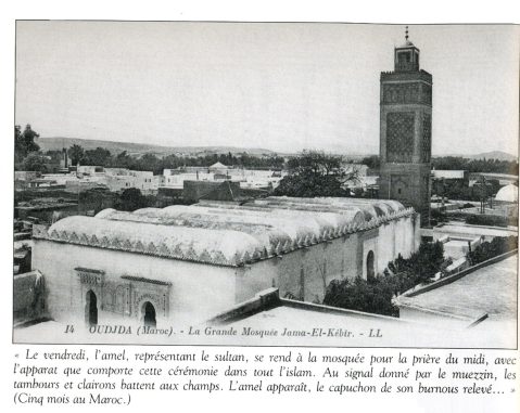 Instantané 36 : jardin de l'Oriental - galerie photos Oujda à publier sur le site