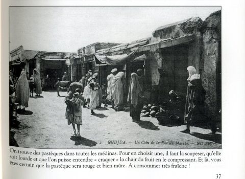 Photographie 44 : place d'Oujda - galerie photos Oujda à visiter