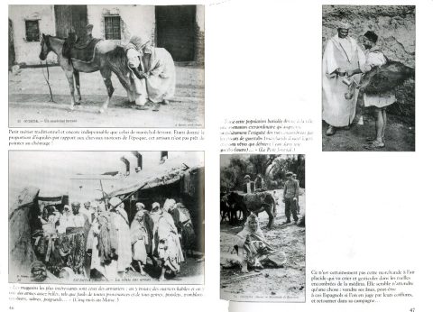 Vue 71 : excursion dans l'Oriental - galerie photos Oujda à découvrir