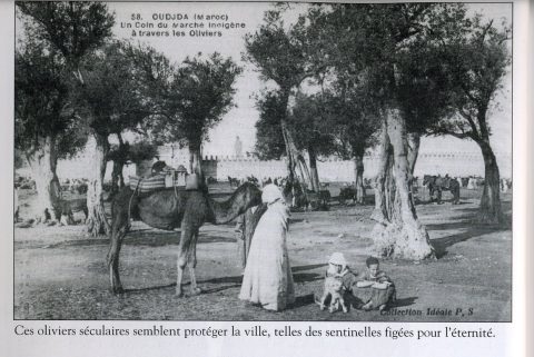 Instantané 201 : lumière du matin à Oujda - galerie photos Oujda à publier sur le site