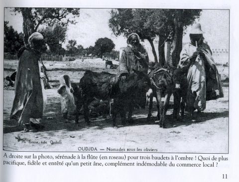 Album photo 204 : destination Oujda - galerie photos Oujda pour votre prochaine escapade