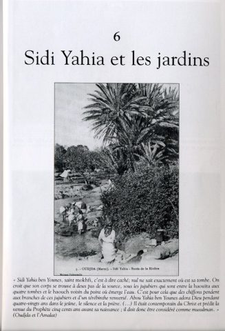 Photo 251 : médina de Oujda - galerie photos Oujda à consulter en ligne