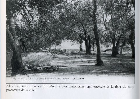 Album photo 259 : lumière du matin à Oujda - galerie photos Oujda pour votre prochaine escapade