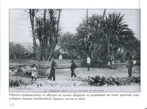 Cliché 265 : région de l'Oriental - galerie photos Oujda à télécharger