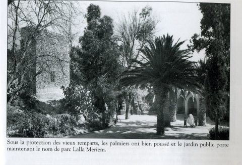 Série photos 272 : parc de Oujda - galerie photos Oujda pour projet touristique