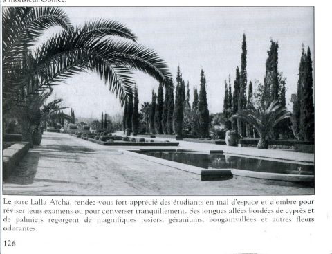 Photographie 275 : carte postale de l'Oriental - galerie photos Oujda à visiter
