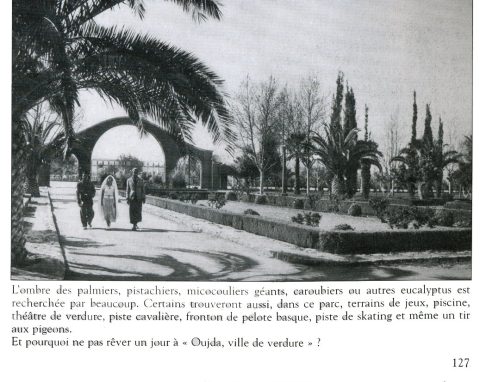 Collection d'images 277 : horizon de l'Oriental - galerie photos Oujda à imprimer