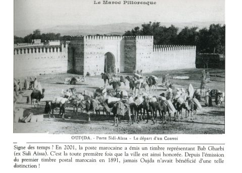 Album photo 281 : sahel oujdiais - galerie photos Oujda pour votre prochaine escapade