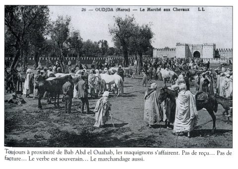 Cliché 287 : tourisme à Oujda - galerie photos Oujda à télécharger