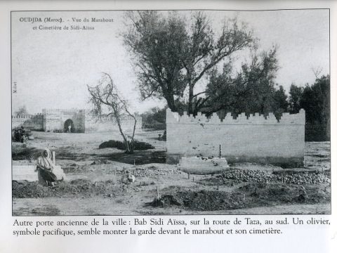 Série photos 294 : région de l'Oriental - galerie photos Oujda pour projet touristique