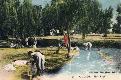 Photographie 308 : image de Oujda - galerie photos Oujda à visiter